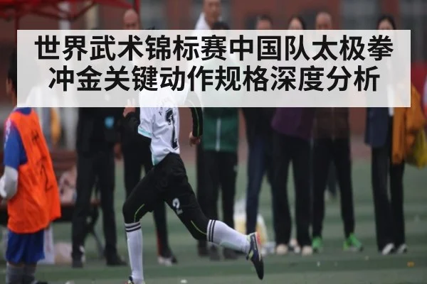 世界武术锦标赛中国队太极拳冲金关键动作规格深度分析
